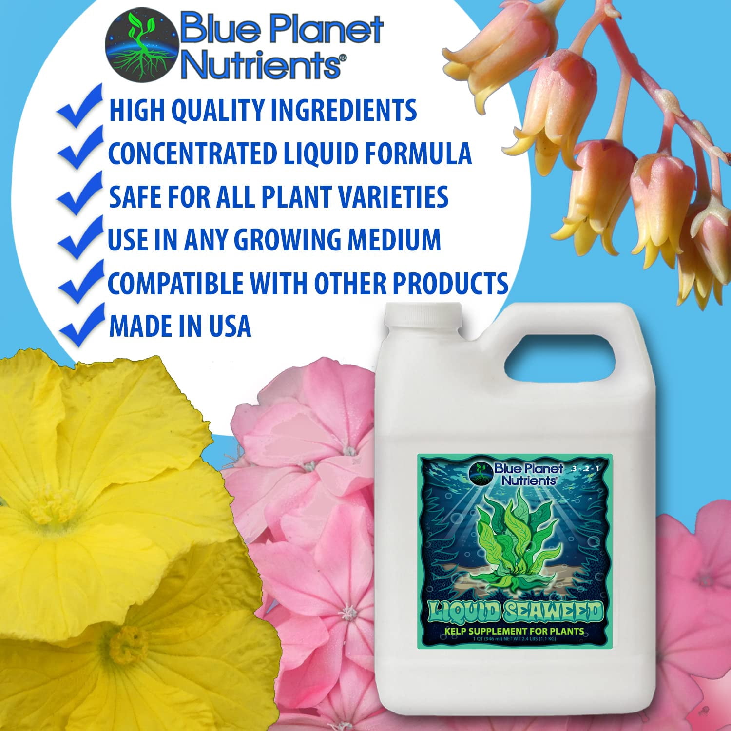 Liquid Kelp Seaweed Fertilizer Concentrate - Ascophyllum Nodosum Liquid Seaweed Supplement - Makes 470 Gallons - Quart (32 oz)