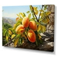 thumbnail image 2 of Designart "Golden Mangoes" Food & Beverage Canvas Wall Art, 2 of 5