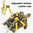 thumbnail image 3 of Adjustable Tortoise Leash And Skateboard Set Outdoor Training Harness And Mini Finger Skateboard for Small Pet Beard Dragon Lizard Turtle, 3 of 8