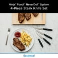 Ninja Foodi Never Dull Essential 4Piece Steak Knife Set, K12004