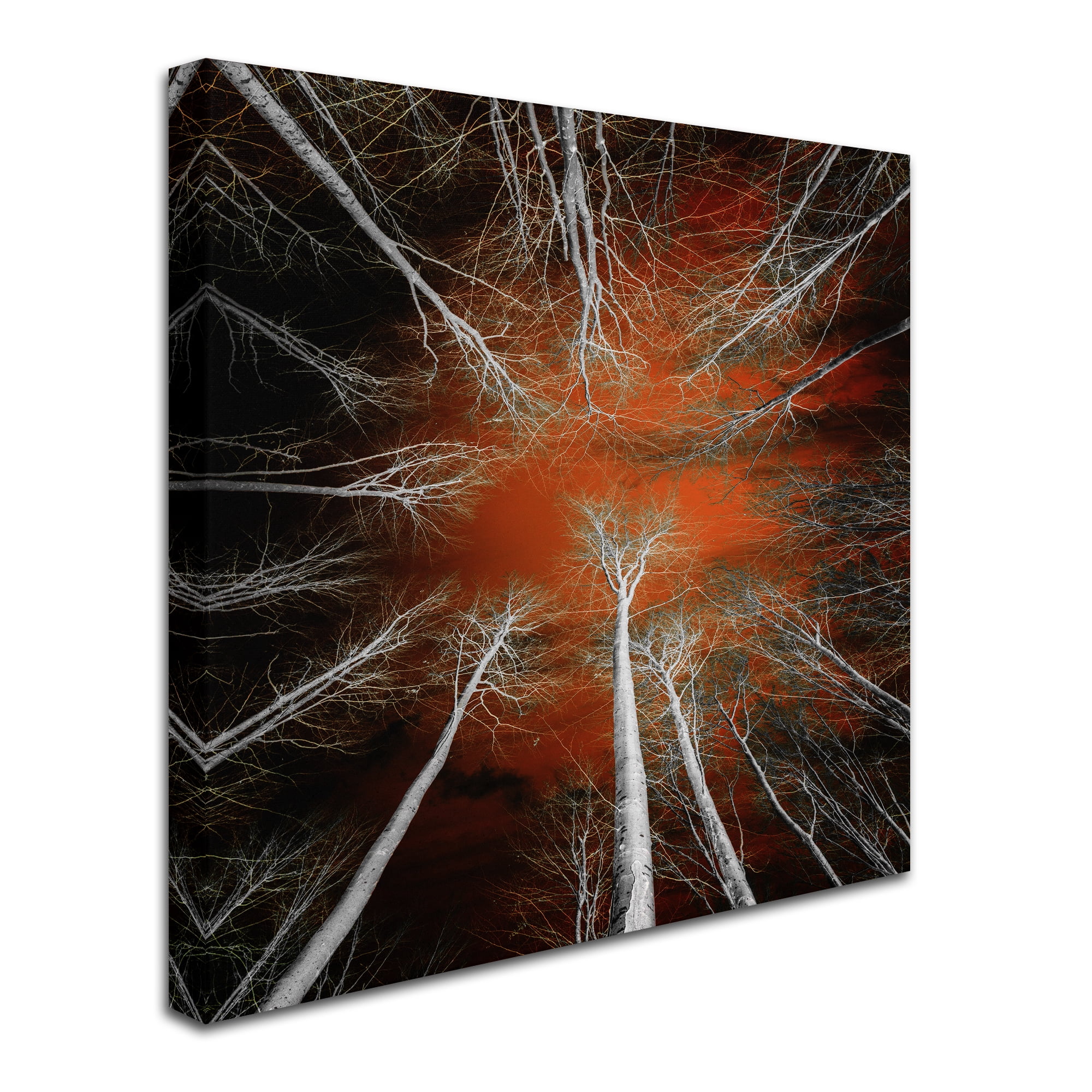 Trademark Fine Art "Something Growing In Me" Canvas Art by Philippe Sainte-Laudy