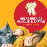 Petrodex Dental Care Kit for Cats, Malt Flavored Toothpaste