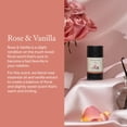 thumbnail image 4 of Desodorante Each & Every Rose & Vanilla, 75 ml, sin aluminio, 4 of 9