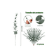 thumbnail image 2 of 24 Piezas Tallos De Eucalipto BELUG Decoración Hojas Artificiales, 2 of 5