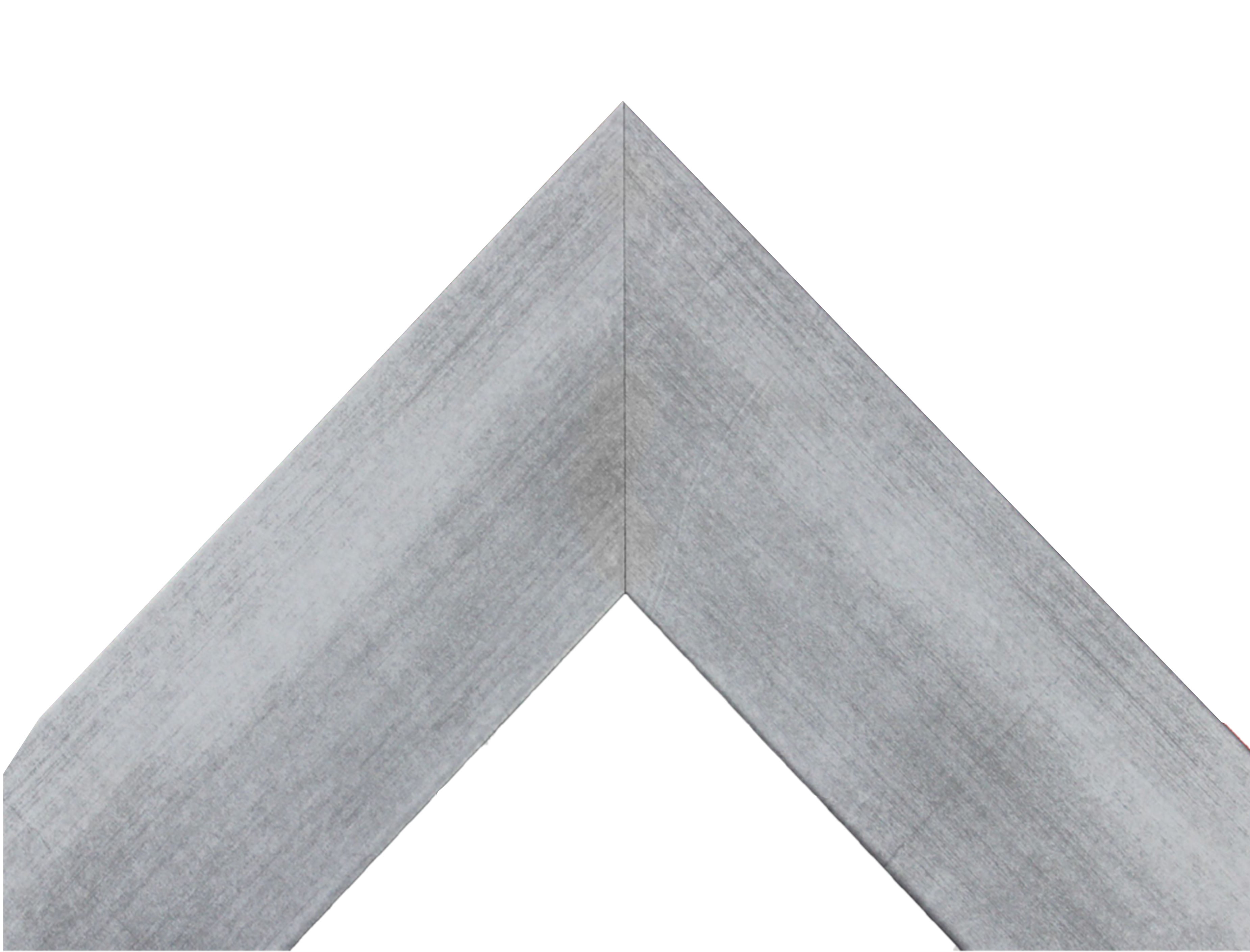 Rayne Beveled Full Length Wall Mirror 65.5"x32" Floor Mirror Matte Silver