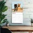 thumbnail image 5 of Cairn Terriers | 2026 12x24" (Hanging) Wall Calendar | Plastic-Free | BrownTrout, 5 of 9