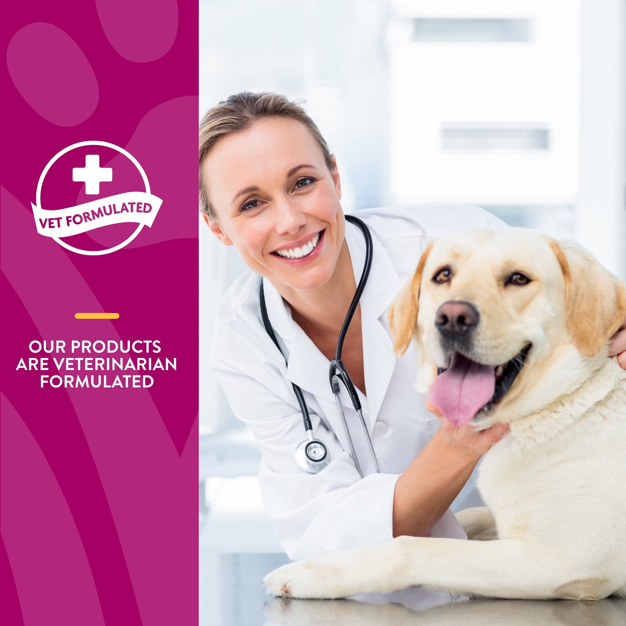 NaturVet Scoopables Glucosamine DS Plus Dog Supplements