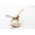 thumbnail image 2 of Harry Potter: Buckbeak 3D Wood Model and Booklet (IncrediBuilds), 2 of 2