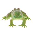 thumbnail image 2 of Realistic Plastic Animal Figure Simualtion Model Animal Figure Toy Toys Green Bullfrog, 2 of 9