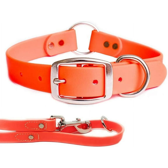 Regal Dog Products Waterproof Collar & Leash Set - Heavy Duty Center Ring Collar & 5' Leash