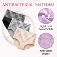 thumbnail image 3 of High-quality Everdries Leakproof Underwear Compatible Women Incontinence Leak Proof Protective Pants, 3 of 4
