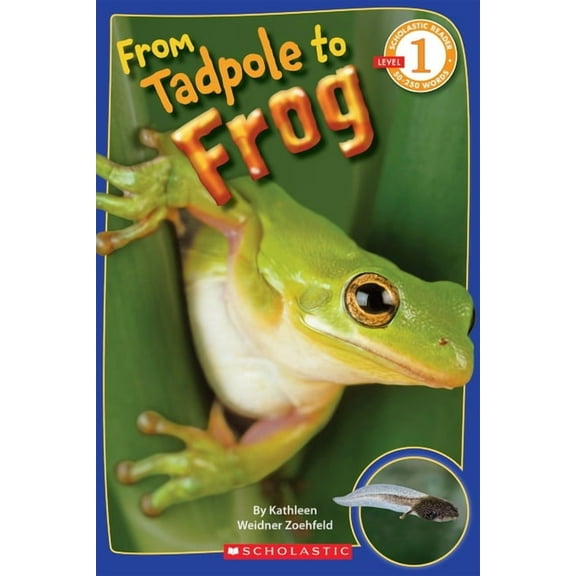 Scholastic Reader: Level 1 From Tadpole to Frog (Scholastic Reader, Level 1), (Paperback)