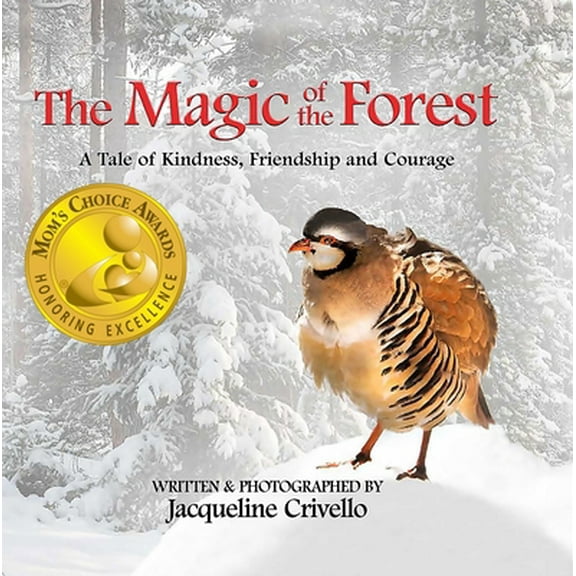 Pre-Owned The Magic of the Forest (Hardcover) 0578638568 9780578638560
