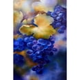 thumbnail image 3 of Cuadros Decorativos Kit de pintura al óleo de uva abstracta por números imagen de dibujo DIY para decoración de adultos JShteea Nuevos Originales, 3 of 9