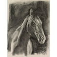 thumbnail image 2 of Parker, Jennifer Paxton 15x18 Black Ornate Wood Framed with Double Matting Museum Art Print Titled - Charcoal Horse Study on Grey I, 2 of 4