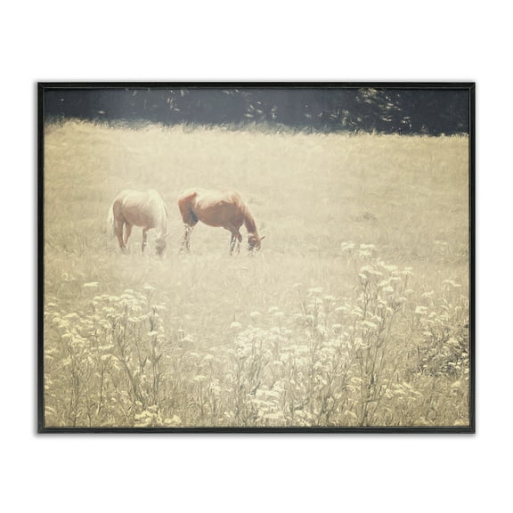 Stupell Industries Pair of Horses Grazing Landscape & Nature Photography Black Framed Art Print Wall Art, 14 x 11
