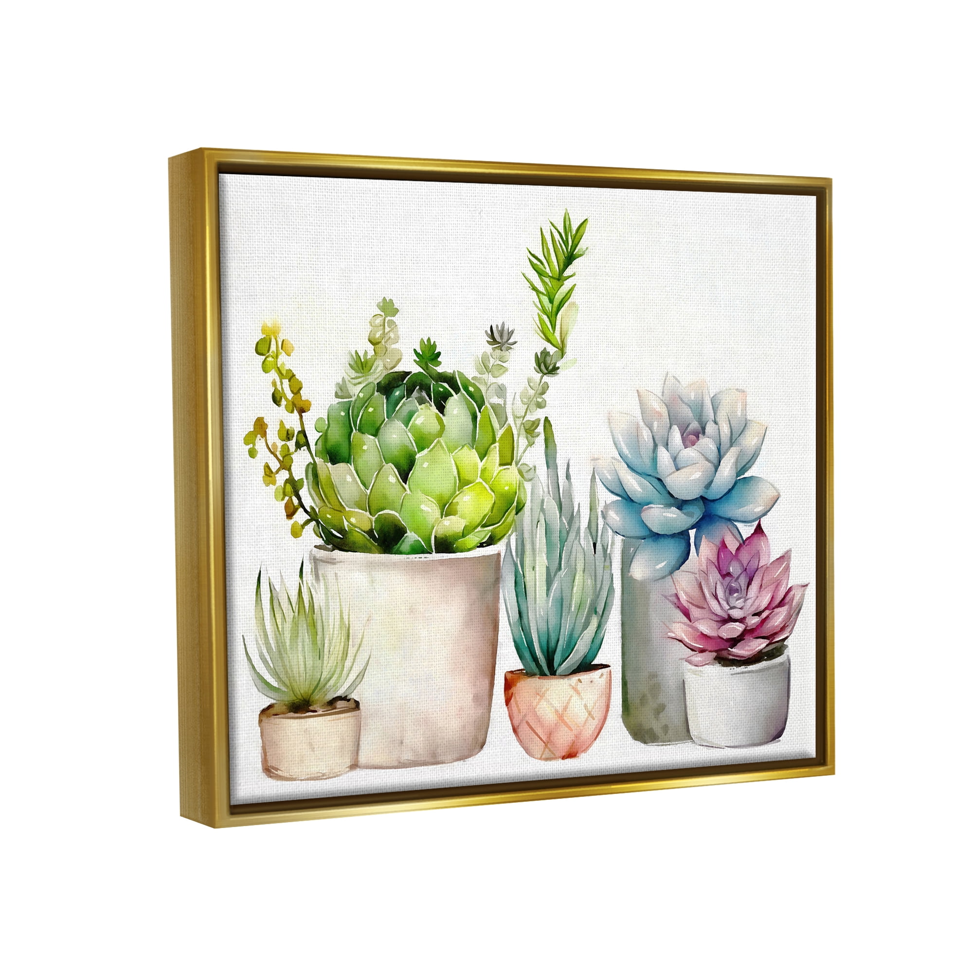Stupell Industries Succulent Plants Floral Nature Botanical & Floral Painting Gold Floater Framed Art Print Wall Art