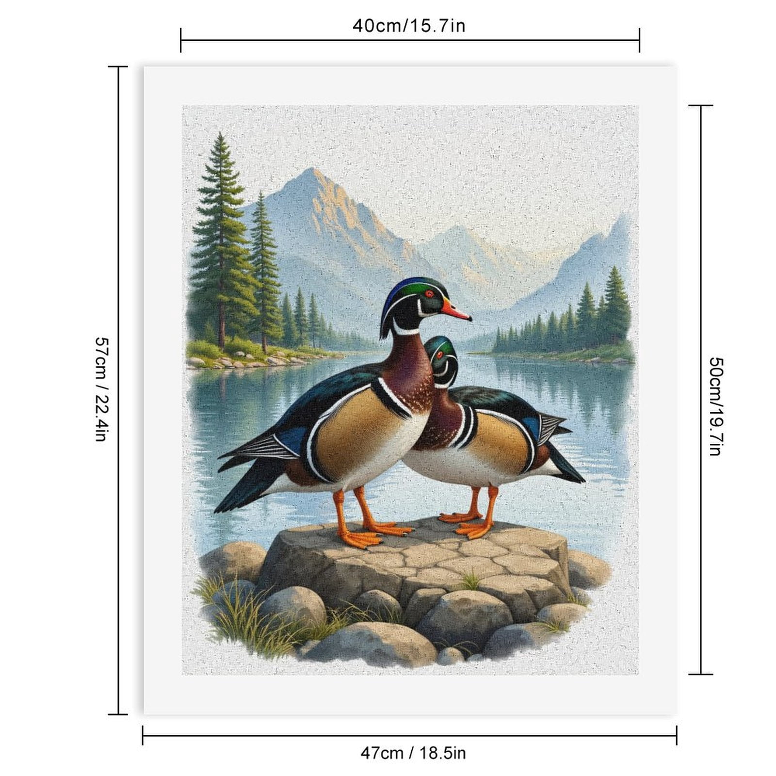 Paint by Numbers Kit for Adults, Ducks On Rocky Lakeside Scenery Paint by Numbers, Easy Paint by Numbers Kit for Adults Beginner, DIY Adult Paint by Number Kits on Canvas, Home Decor
