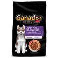 thumbnail image 1 of Croquetas Para Perro Ganador Premium Cachorro Razas Grandes 20 Kg, 1 of 8