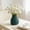 Blue_Base#3412, variant on Small Plastic Flower Vase for Centerpieces – Unbreakable Vintage-Style Decorative Vase for Fresh or Artificial Flowers, Home Decor for Living Room, Bedroom, Kitchen
