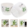 thumbnail image 3 of 2pcs Plastic Hydroponic Planter Decorative Flower Pot Plant Container for Hydroponic Plants and Fish Bowl Reusable Water Plant Pot, 3 of 8