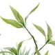 thumbnail image 4 of Plantas de agua artificiales, hoja de bambú, ornamento de hierba, peces de acuario jinwen Planta de terrario de reptiles, 4 of 8