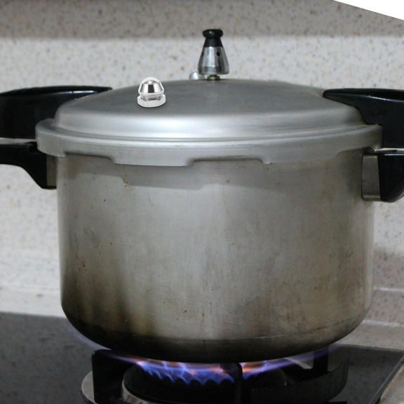 YSNOOWE Pressure Cooker Replacement Parts 2Pcs Safety Valve 11.8X0.7X0.7in for Pressure Cooker