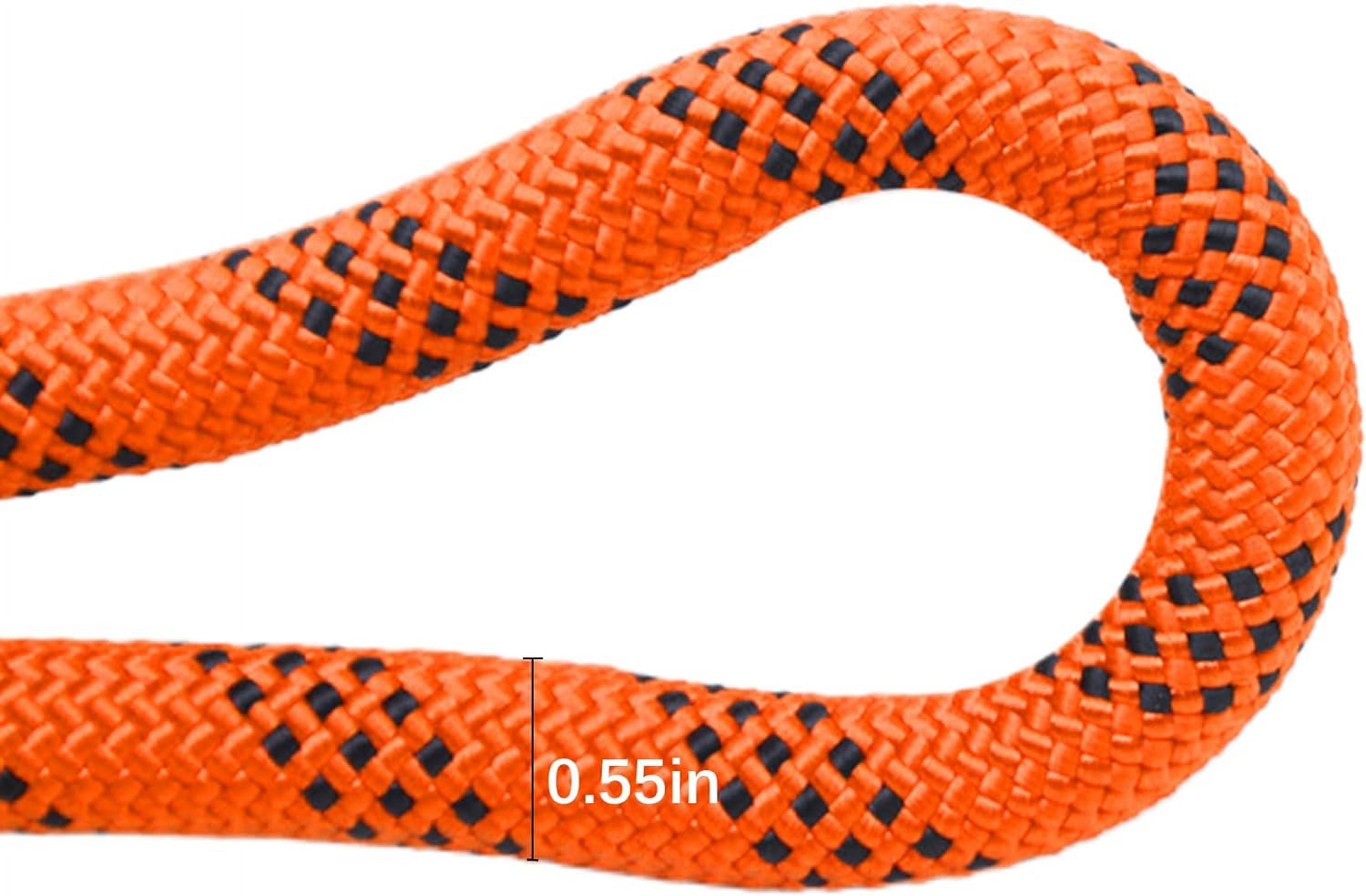 Heavy Duty Elastic Rope : 98ft 1/2 Inch Arborist Rope,Heavy Duty Rope for Rescue Towing,Climbing Support and Bundle Supplies,Tree Climbing Rope with Basic Shock Absorption,Flexible and Durable