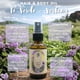 thumbnail image 2 of Aceite Para Cabello y Cuerpo Con Aceite Esencial De Té Verde Verbena 60ml, 2 of 5