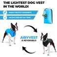 thumbnail image 5 of AiryVest Lightweight Reversible Winter Dog Coat - Warm Dog Jacket - Water Resistant Windproof - Insulated Dog Apparel for Small, Medium & Large Dogs - Comfortable Dog Puffer Vest - Black/Light Blue, 5 of 5