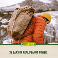 thumbnail image 3 of Nature Valley Sweet and Salty Nut Peanut Granola Bars (36 ct.), 3 of 6