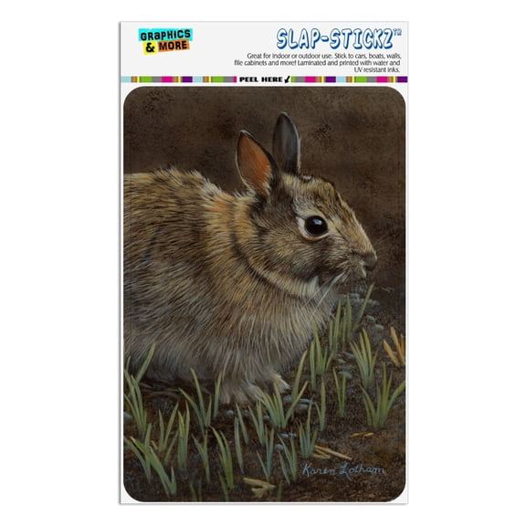 Backyard Bunny Rabbit Hare Home Business Office Sign