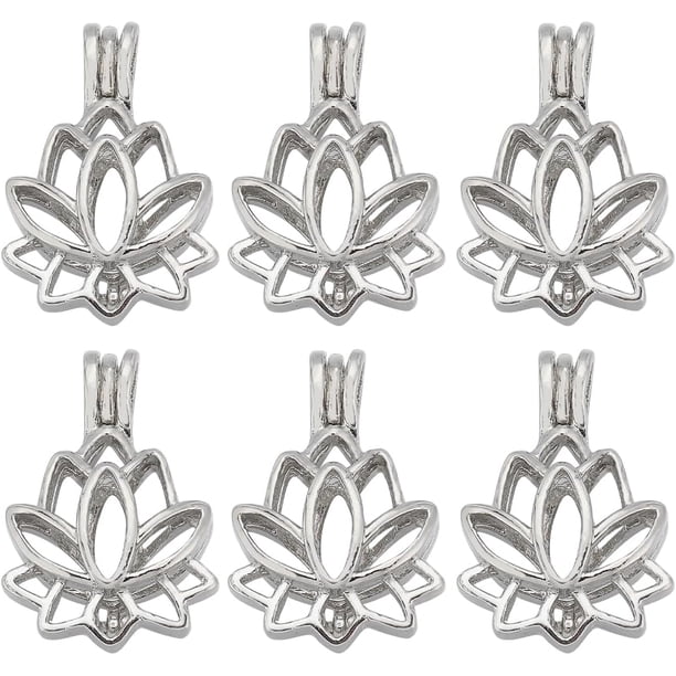 1 caja de 10 colgantes de jaula de perlas con forma de jaula para collar, soporte para piedras, colgantes de jaula con aceites esenciales de aromaterapia, colgantes de jaula, dijes de medallón