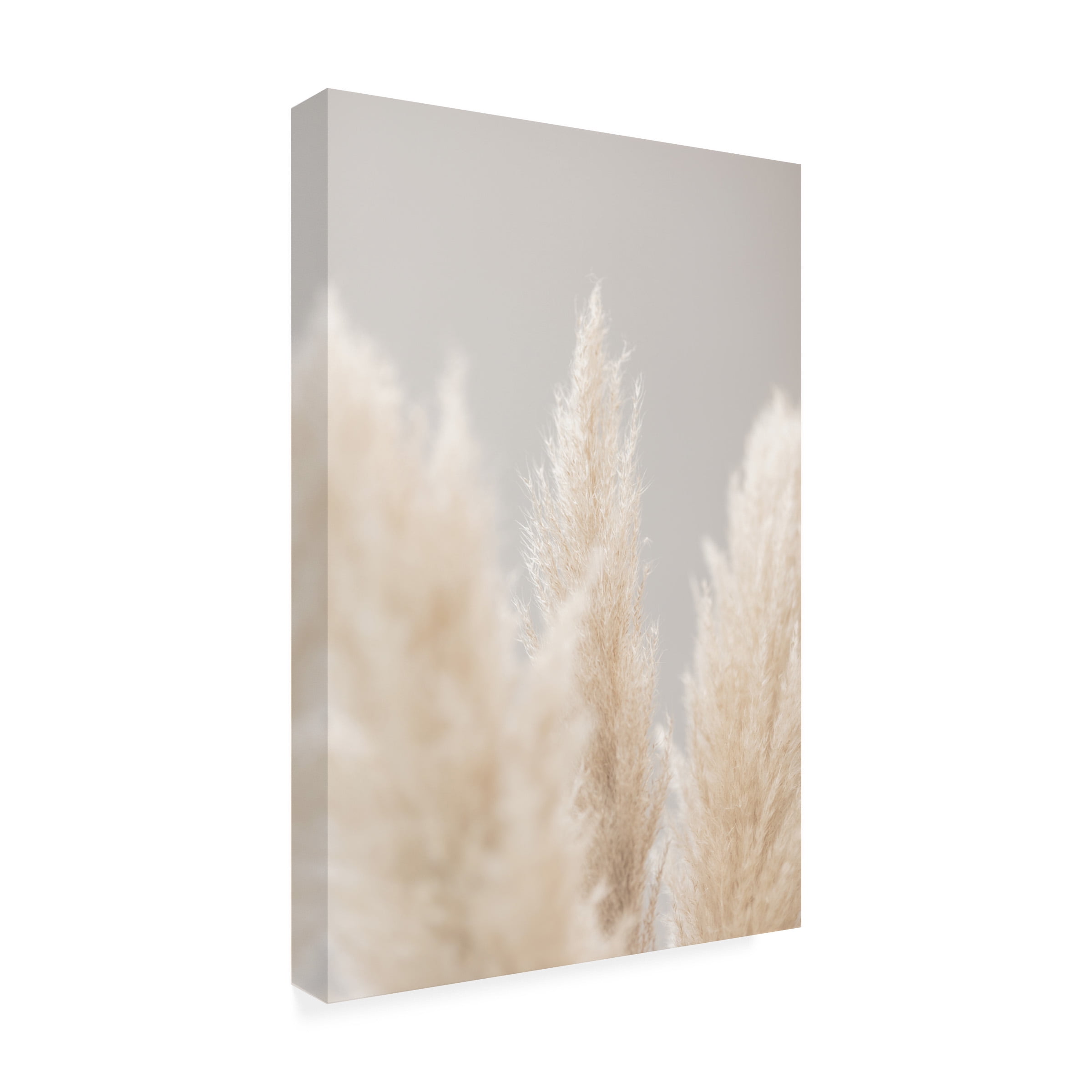 1x Studio III 'Pampas Grass Grey 04' Canvas Art