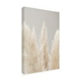 thumbnail image 4 of 1x Studio III 'Pampas Grass Grey 04' Canvas Art, 4 of 4