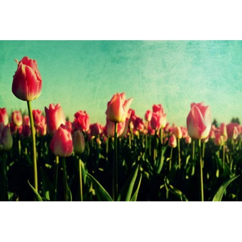 Marmont Hill "How Does Your Garden Grow" by Robert Dickinson Painting Print on Canvas