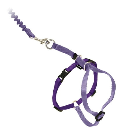 UPC: 0759023076164 | PetSafe Come With Me Kitty Harness and Bungee Leash