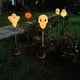 thumbnail image 4 of Linterna de calabaza fantasma tambaleante con energía solar para Halloween, decoración de esqueleto con mueca brillante y espeluznante, luz de estaca, 4 of 7