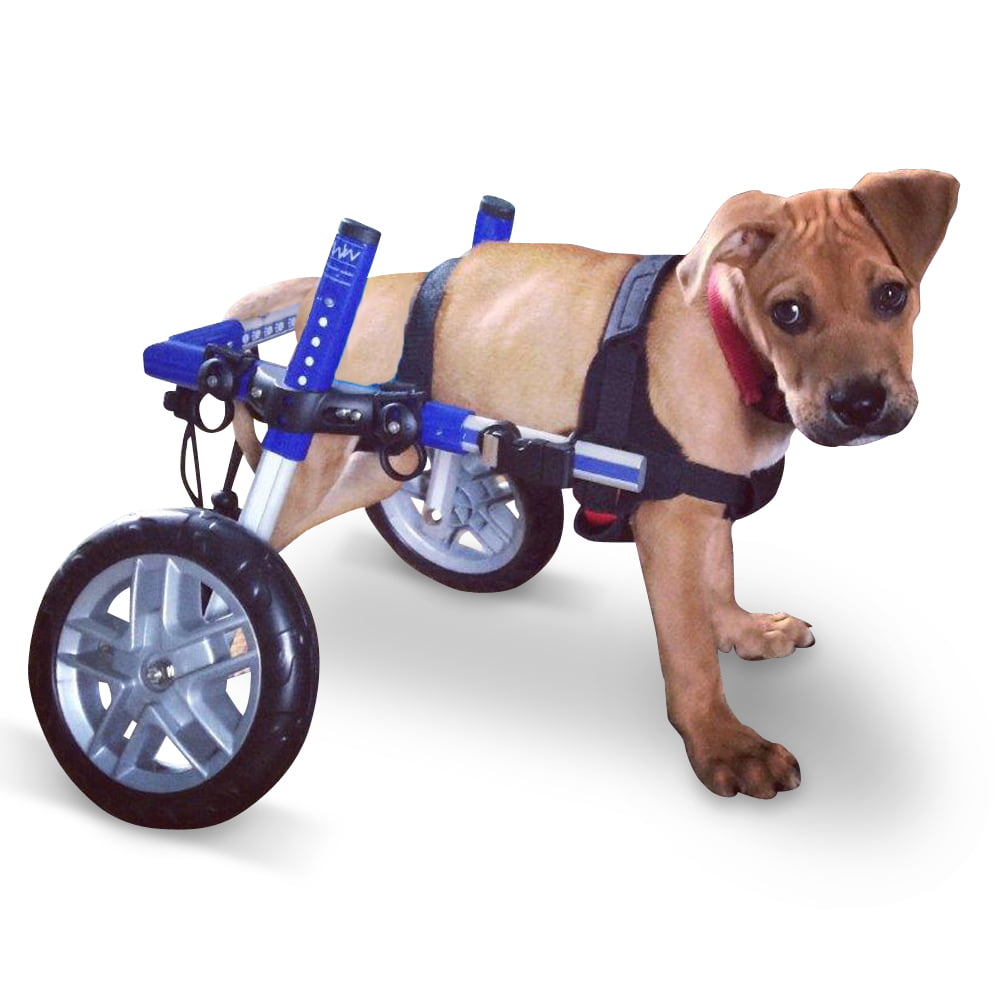 Dog Wheelchair For Small Dogs 1825 lbs Veterinarian