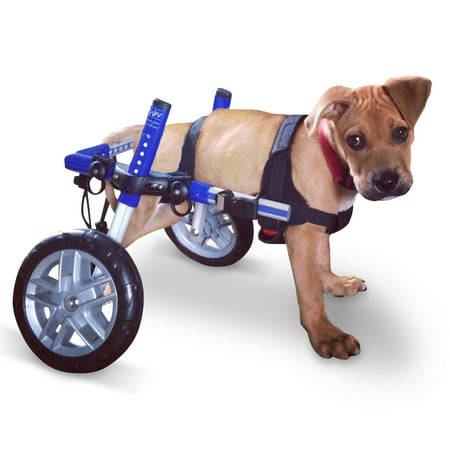 Dog Wheelchair - For Small Dogs 18-25 lbs - Veterinarian