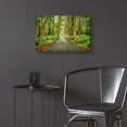 thumbnail image 6 of Epic Art 'Tropical Mauritius Road' by Mark A Paulda, Acrylic Glass Wall Art, 24"x16", 6 of 8