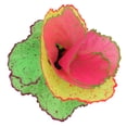 thumbnail image 3 of Decoración de Coral de simulación, pecera fluorescente, plantas, decoración para paisaje, colorida, 3 of 5