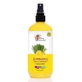thumbnail image 1 of Alikay Naturals - Lemongrass Leave-In Conditioner 16 Oz, 1 of 1