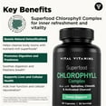 thumbnail image 4 of Vital Vitamins Chlorophyll Pills - Body Deodorizing Supplement - Made with Spirulina, Chlorella, Organic Parsley, Mint, & Activated Charcoal - Defeat Odor Naturally - for Women & Men - 60 Capsules, 4 of 9