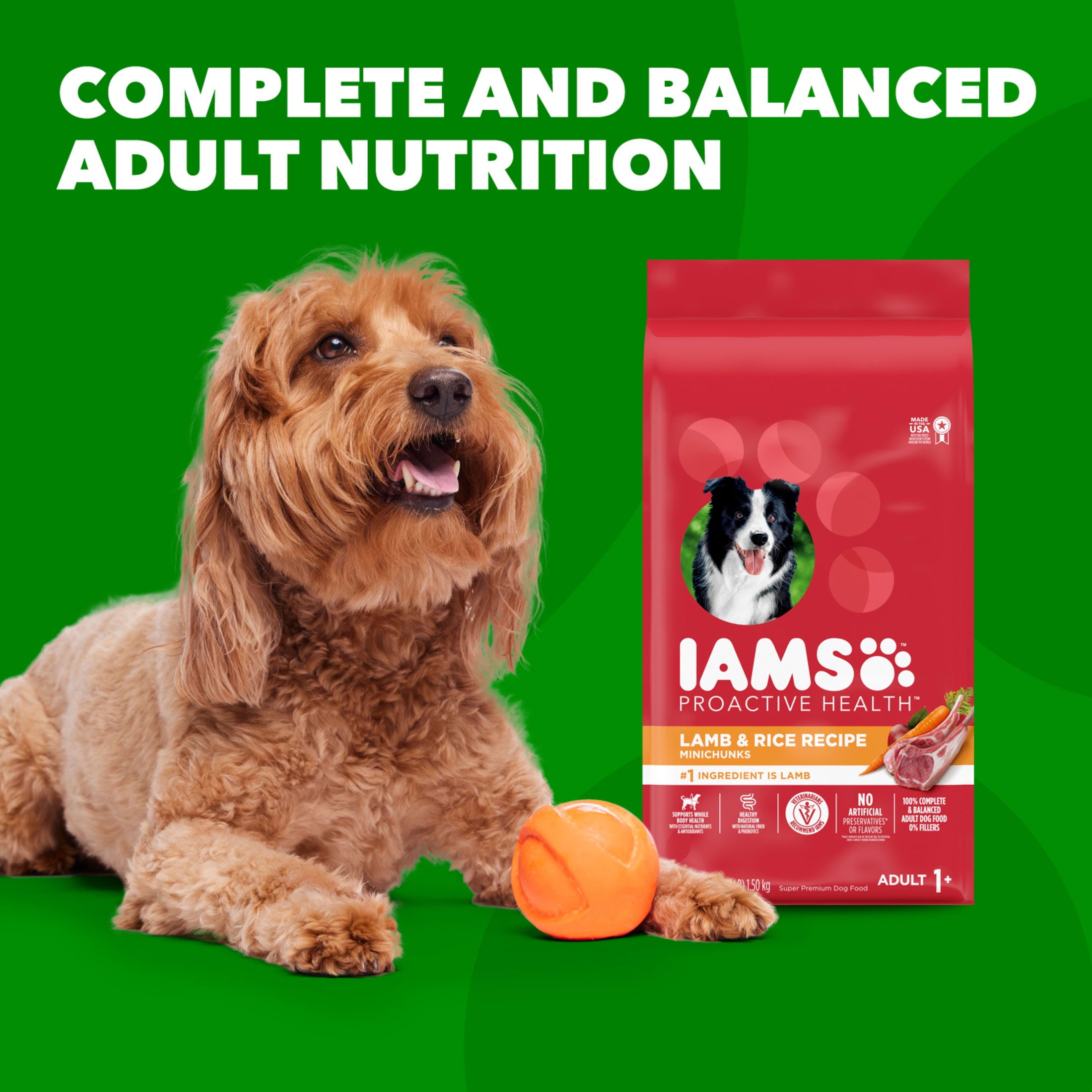 IAMS Proactive Health Minichunks Adult Dry Dog Food with Lamb & Rice, 15  lb. Bag