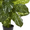 thumbnail image 3 of 34” Dieffenbachia Artificial Plant (Real Touch), 3 of 5