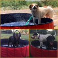 thumbnail image 4 of VEEKI Foldable Pet Swimming Pool Red Portable Pet Pools Foldable Dog Pool Collapsible Swimming Pool for Dogs, 4 of 4