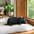 thumbnail image 5 of Realistic Sleeping Black Pig Plush Pillow, Lifelike Animal Stuffed Cushion, Novelty Simulation Pig Throw Pillow for Sofa Bedroom Decor, 16", 5 of 5