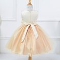 thumbnail image 4 of Gyratedream Little Girls Big Kids Sequins Flower Lace Tulle Dress Prom Gown Princess Dresses, 4 of 5