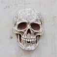 thumbnail image 6 of Pebbuoy Realistic Life Size Skull Figure Human Skull Ornament Halloween Decor Resin Horror Statue Waterproof Home Office Yard Decoration, 6 of 6